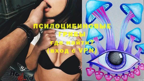 гидропоника Аркадак