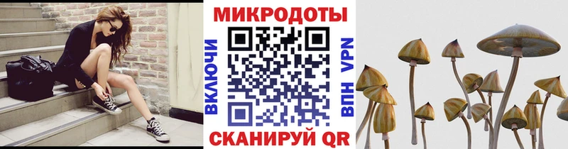 Псилоцибиновые грибы Psilocybine cubensis Павловск